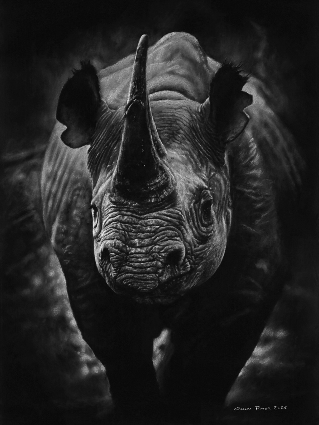 Black Rhino, charcoal black rhino giclee print by wildlife artist Gareth Putter