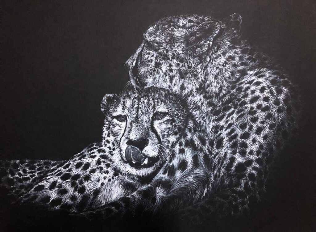 Cheetah Brothers, charcoal cheetah giclee print by wildlife artist Gareth Putter