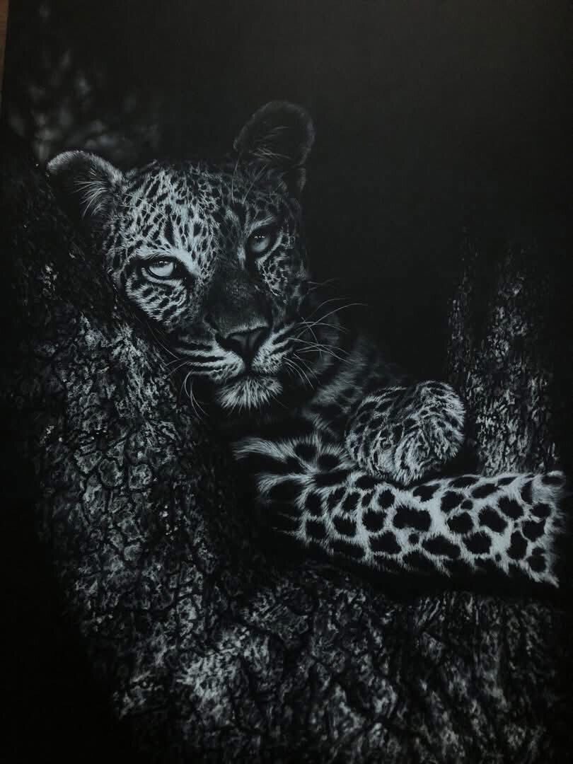 Lazy Sunday, charcoal leopard giclee print by wildlife artist Gareth Putter