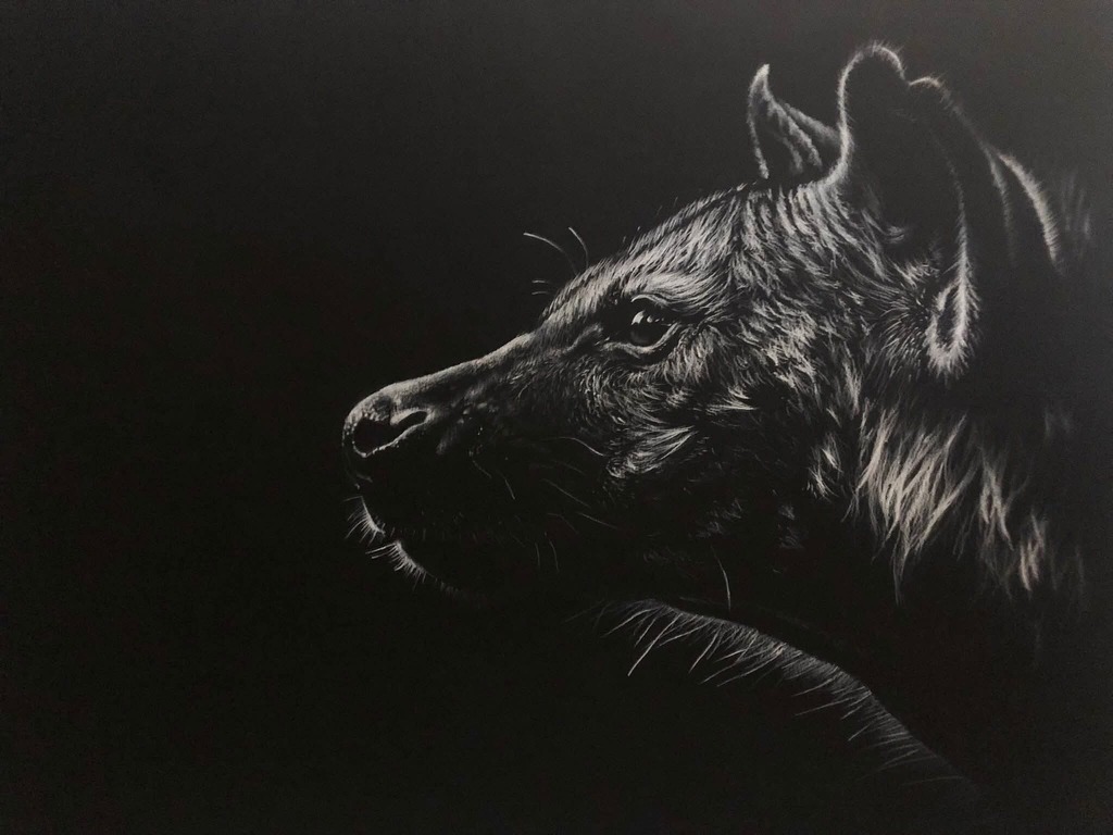 Hyena, charcoal hyena giclee print by wildlife artist Gareth Putter
