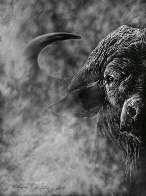 Buffalo in dust, charcoal buffalo giclee print by wildlife artist Gareth Putter
