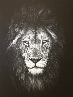 Lion Stare, charcoal lion giclee print by wildlife artist Gareth Putter