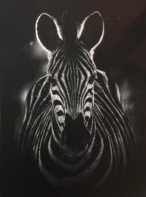 Zebra, charcoal zebra giclee print by wildlife artist Gareth Putter
